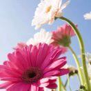 大宝同学106270的个人资料头像