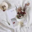 木木本尊106341的个人资料头像