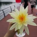 兜兜心的个人资料头像