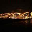 陈荣凯的个人资料头像