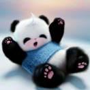 暗影随风的个人资料头像