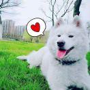 辣椒酱jj的个人资料头像