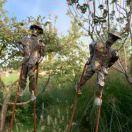 lzhen106756的个人资料头像