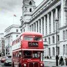 少年已不年少本尊的个人资料头像