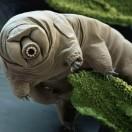 枫同志106795的个人资料头像