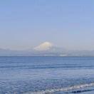 springtimestroll的个人资料头像