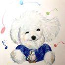 水箭龟君的个人资料头像