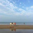 攻城狮susht的个人资料头像