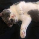 小飞子的个人资料头像