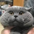 二白就是我107075的个人资料头像