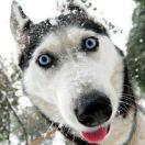 _陈哈哈的个人资料头像