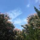 少壮努力的个人资料头像