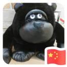 L丶澎澎的个人资料头像