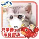 不二猫的个人资料头像