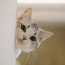 李哆啦啊就是我的个人资料头像