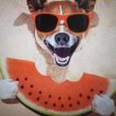 福履绥之的个人资料头像