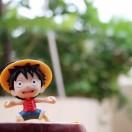 独行客君的个人资料头像