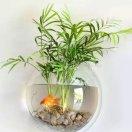 永逍遥的个人资料头像