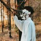 偷吃虾的猫的个人资料头像