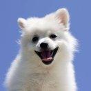 皓傲的个人资料头像