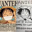 CWL107682的个人资料头像