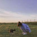 大智若猫的个人资料头像