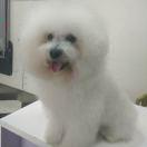 Topvigoss的个人资料头像