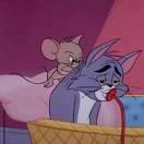 Qing重名了的个人资料头像