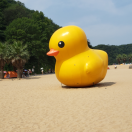 duck酱的个人资料头像