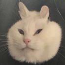 澄海鹏于晏的个人资料头像