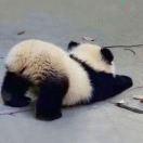 嘉铭的个人资料头像