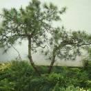 小吴在掘金的个人资料头像