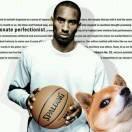 BEWHY的个人资料头像