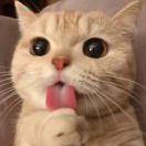 Mark2Win的个人资料头像