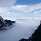 阿king的个人资料头像