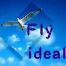 FlyIdeal的个人资料头像