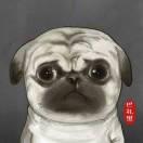 sunshine同志108723的个人资料头像