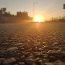 笨鸟爱学习的个人资料头像