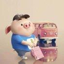 张爱学习的个人资料头像