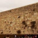 ThomasShen的个人资料头像