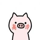 白日梦的个人资料头像