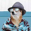 贾一鸣的个人资料头像