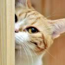 木头人同学108915的个人资料头像