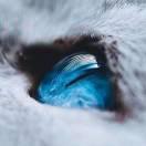 Noctis不想说话的个人资料头像