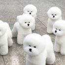 我说加油鸭的个人资料头像