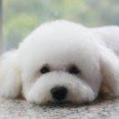 思源酱的个人资料头像