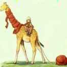 啦啦啦本尊108958的个人资料头像