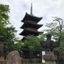 jingle109067的个人资料头像