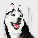 Ali就是我109083的个人资料头像