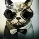 Sun同志109084的个人资料头像